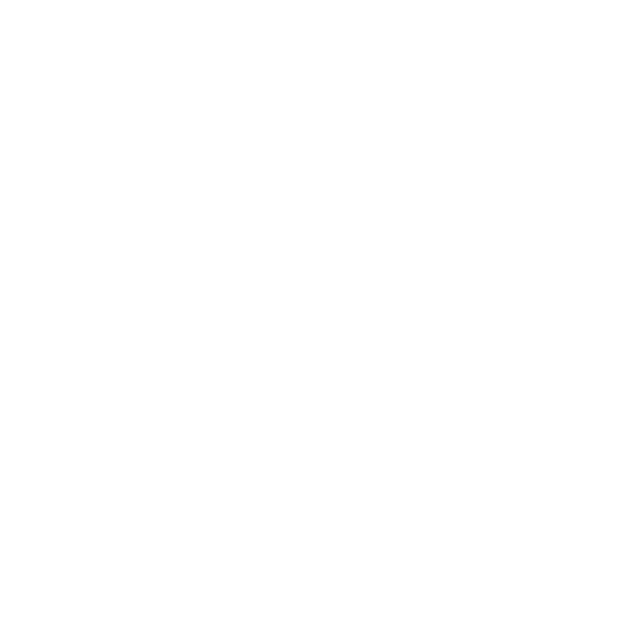 Seattle Chimney Services logo